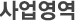 사업영역